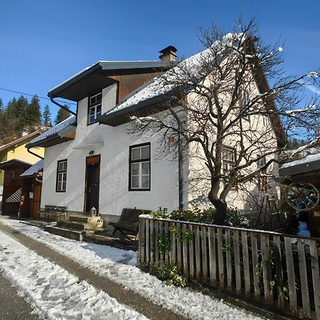 Hisa Hortenzija Luče Extérieur photo