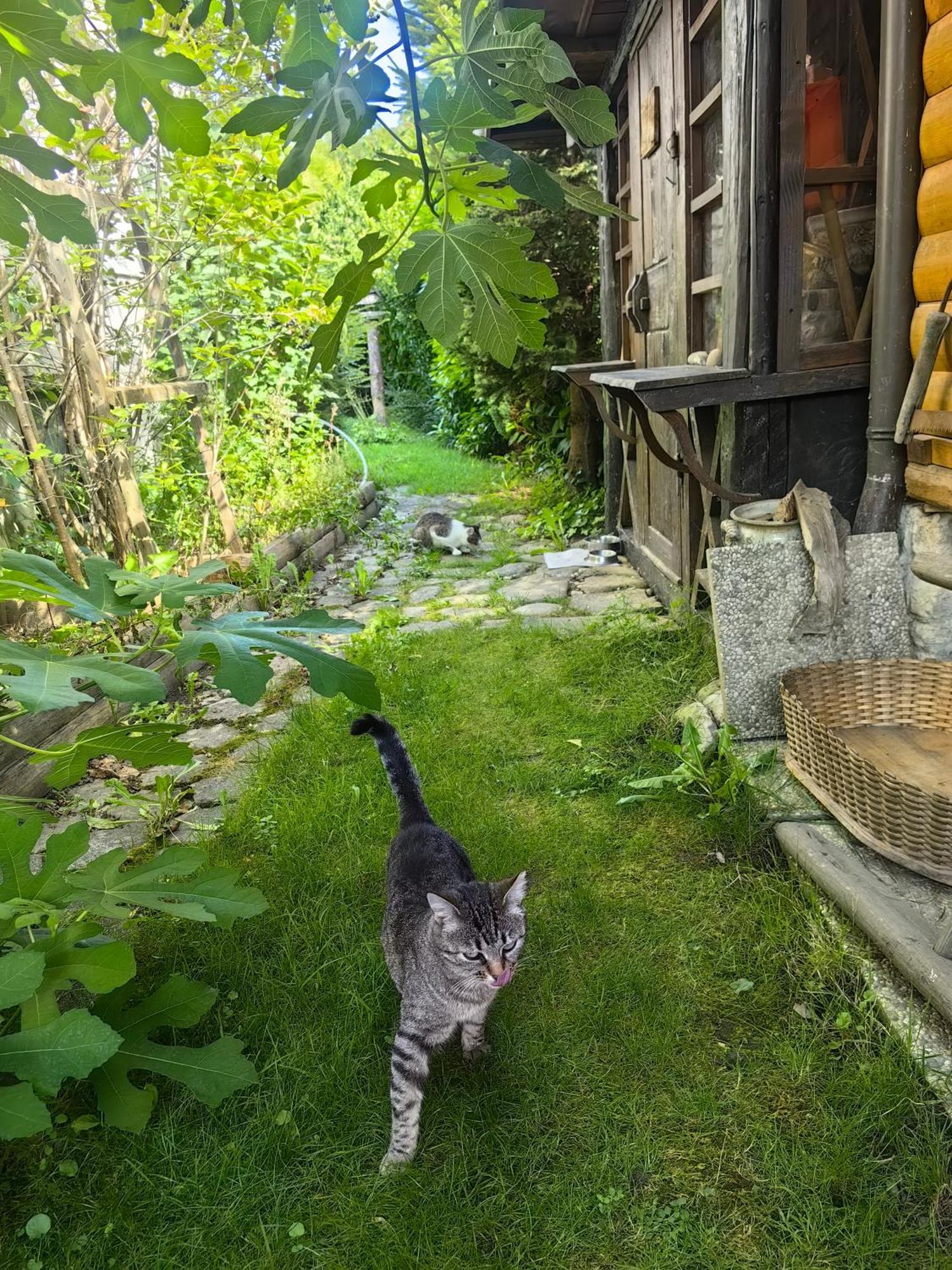 Hisa Hortenzija Luče Extérieur photo