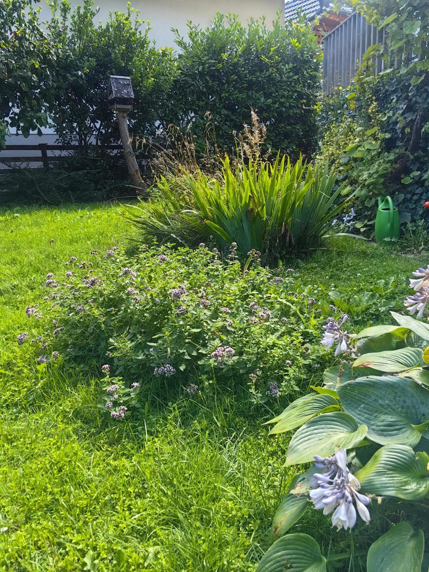 Hisa Hortenzija Luče Extérieur photo